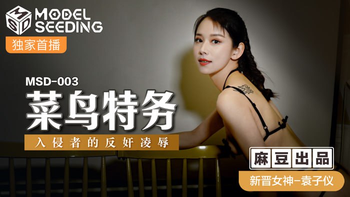 菜鸟特务  入侵者的反奸凌辱